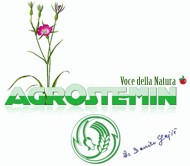 Prezentacije