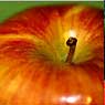 Apple, Pear