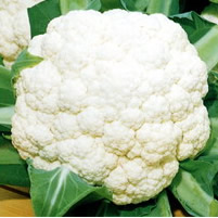 Cauliflower