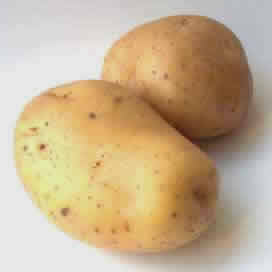 Potato