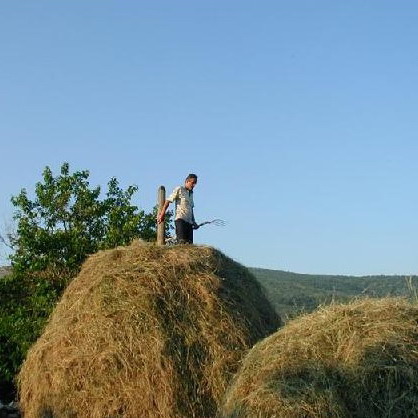 Livade&Pašnjaci