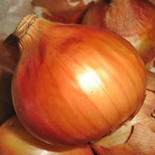 Onion