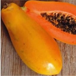 Papaya