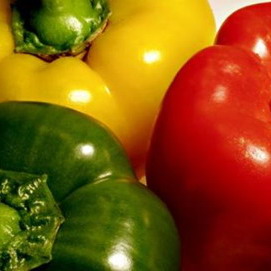 Pimiento