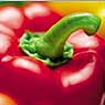 Paprika