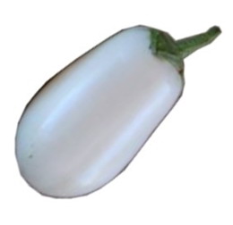 Berenjena blanca