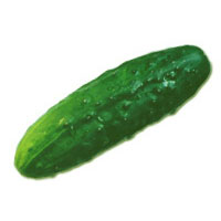 Cucumber 
"gherkin"