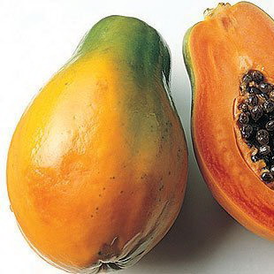 Papaya